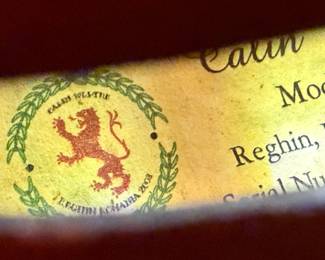 Calin Wultur Model #4 Violin