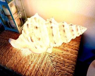 Lighted shell lamp