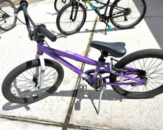 Reid Explorer 20" kids bike