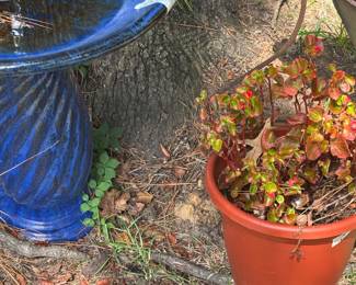 Gorgeous blue birdbath