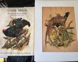 Portfolio of matted game birds
