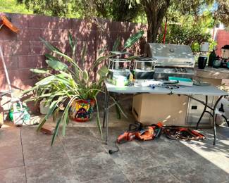 Outdoor plants