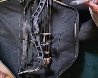 Compound bow
