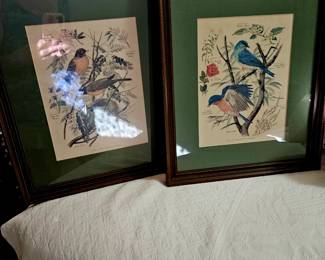 Set of bird prints
