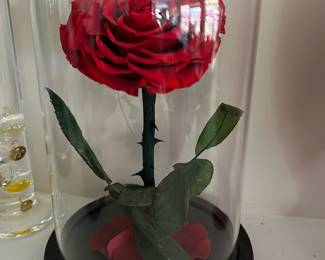 preserved red rose encased in a glass dome on a round dark base