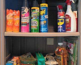 Bee and bug spray