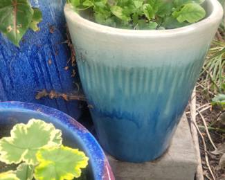 Large pots