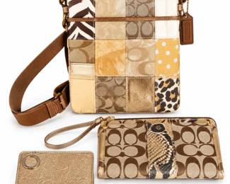 Coach Patchwork Crossbody Bag with Wristlet Embossed Card Case