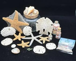 Nautical Souvenir Collection Beachfront Display Accents