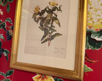 Botanicals