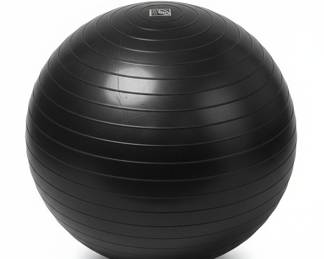 Bally Total Fitness Exercise Ball