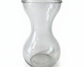 Clear Glass Hyacinth Bulb Forcing Vase