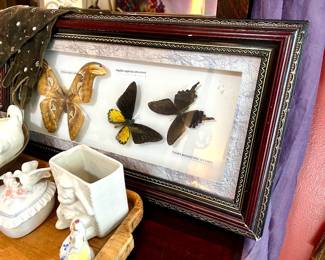 Real framed moths