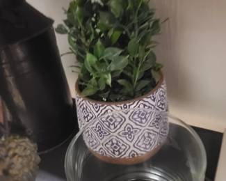 Home decor - plant
