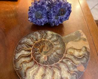 Ammonite and Amethyst