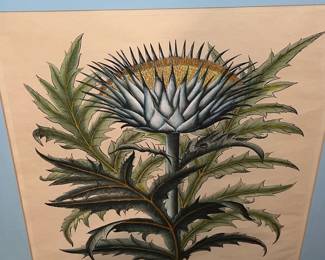 Framed botanical print