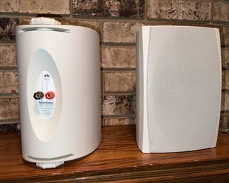 Sonance Mariner indoor/outdoor speaker