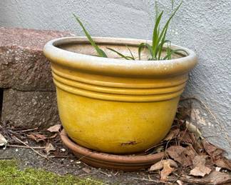 Yellow Glazed Ceramic Garden Planter with Saucer