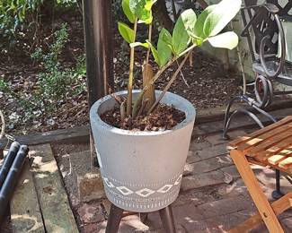Mid-Century Style Concrete Planter with ZZ Plant and Stand