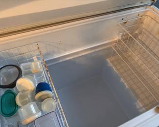inside freezer