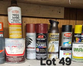 Lot 49 Assorted paint