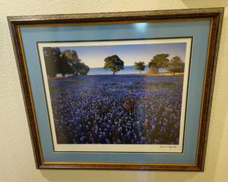 Bluebonnet photo by Richard Reynolds