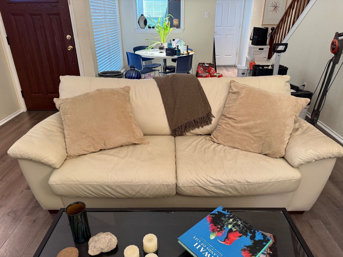Leather Sleeper Sofa