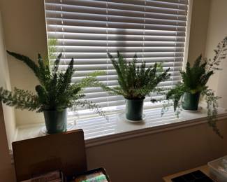 Plants