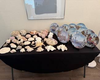 Shells and Decorative Plates
