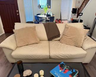 Leather Sleeper Sofa