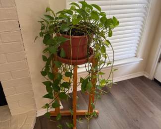 Plant and Stand