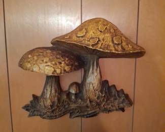 Mushroom wall display