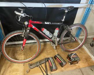 Schwinn Beach Cruiser