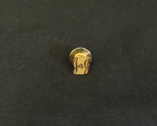 10K Gold Marked Pin