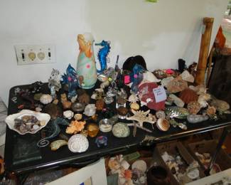 Seashells and seahorses