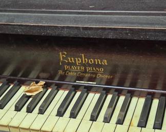Piano player