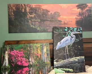 Tropical canvases