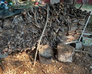 Lot #18 Large Lot Seasoned Firewood Split Logs Branches Kindling Colorado Pickup
