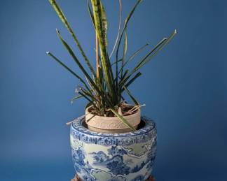 Large Blue and White Porcelain Jardiniere with Carved Wooden Stand second image