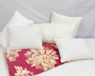 Pillow Inserts
