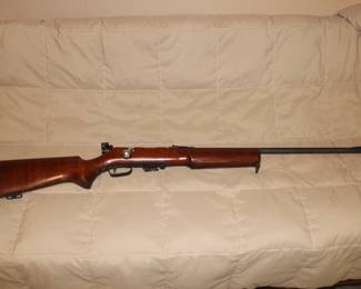 Bolt action .22 with magazine