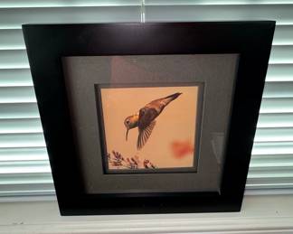 Framed Hummingbird Print by David Hagerbaumer