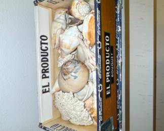 El Producto Bouquet Cigar Box with Seashell Collection