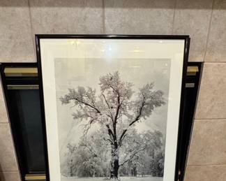 Ansel Adams 'Oak Tree, Snow Storm' Authorized Edition Print