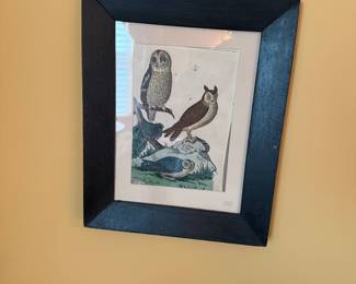 Litho of owls.