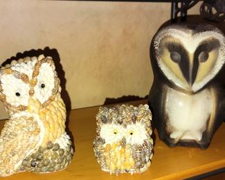Sea Shell Owls