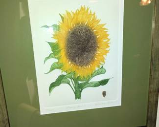 "Rising Sun" Signed Print 93/1200 (also avaible matching print) "Setting Sun".