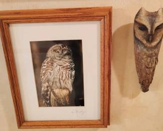 Owl Photo by Karen Murphey, Hand Carved Wood & Mcgee Diorama Owls.