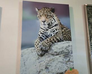 Canvas Art