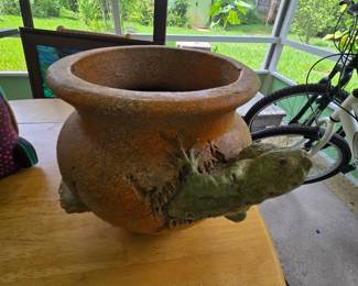 Iguana Plant Pot